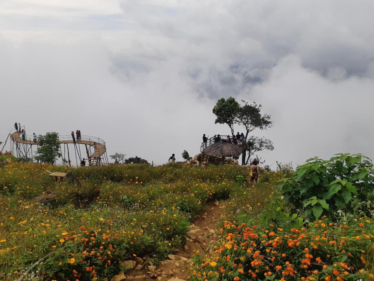 Homestay Your
