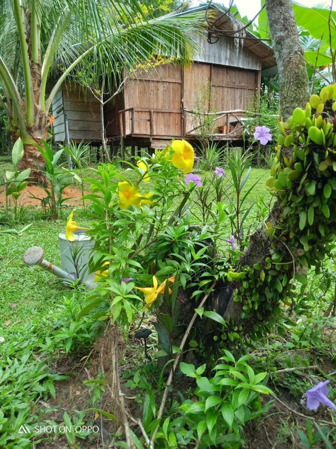 Pepper Farm Phu Quoc Phu Quoc
