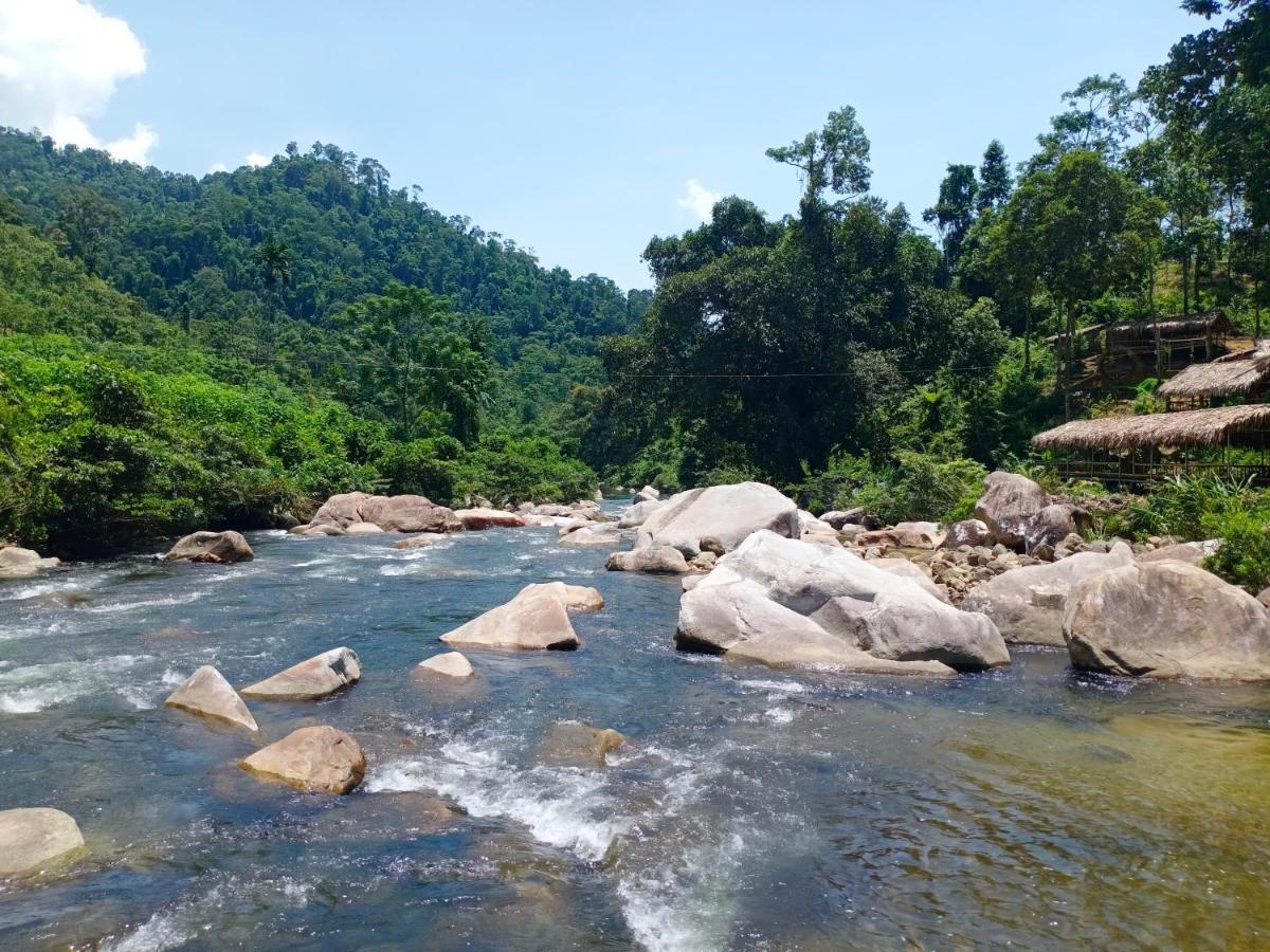 Gio Lao Eco - Dao Che Thanh Chuong Resort Trai Do