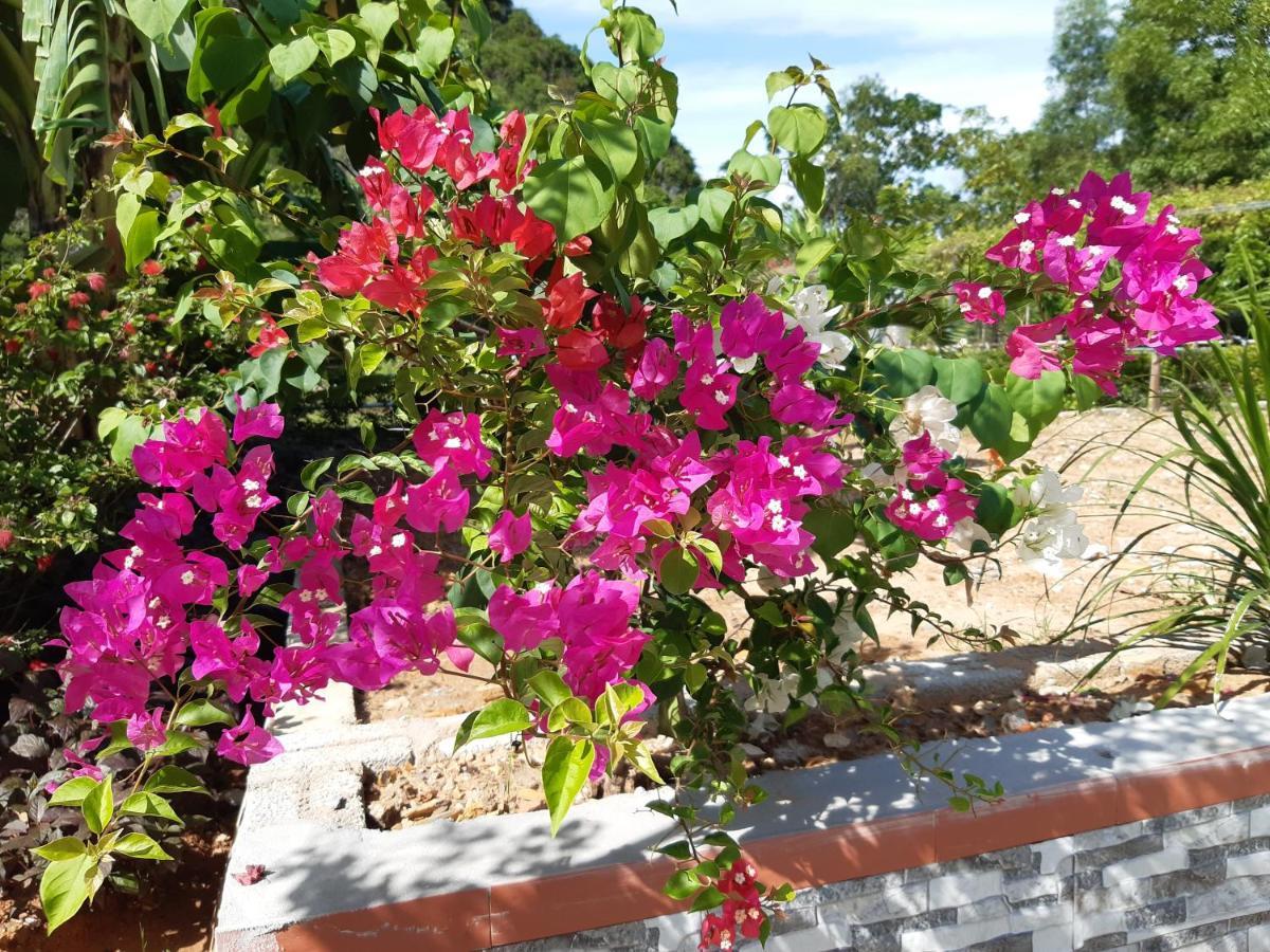 Bolero Aparthotel Phong Nha