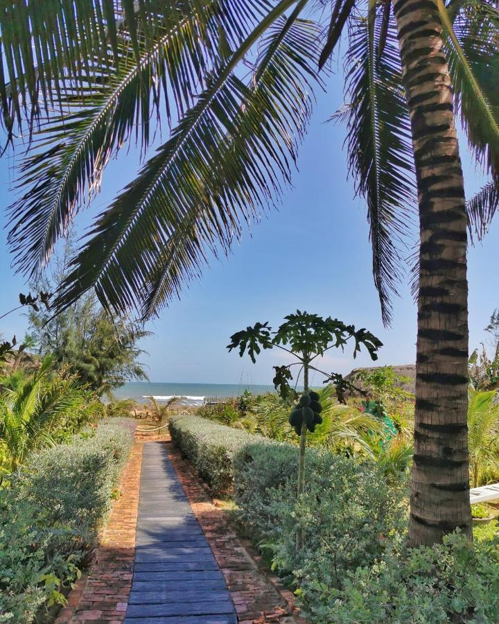Resort Organic Phan Thiet