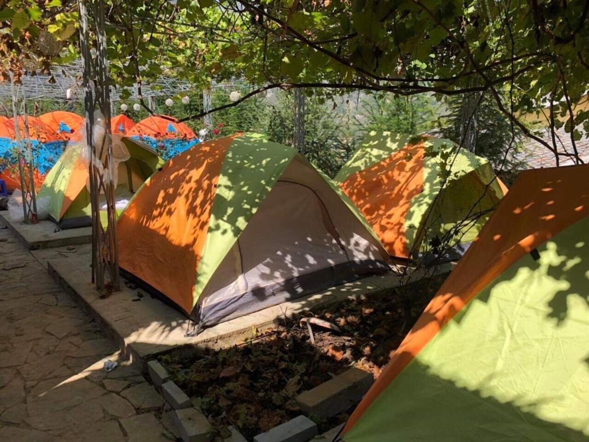 Dong Hostel *