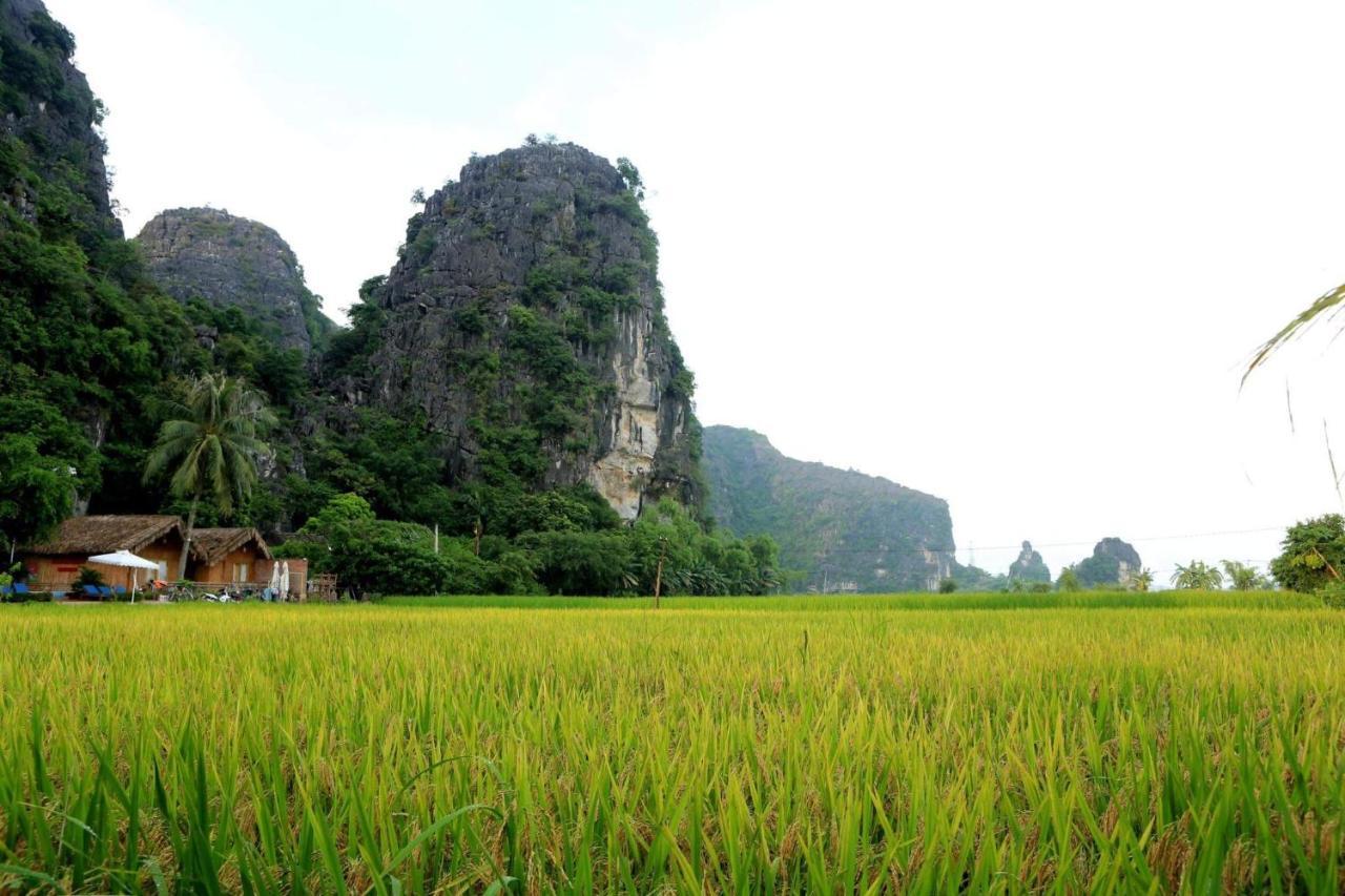 Tam Coc Eco Field Homes Lodge Ninh Binh