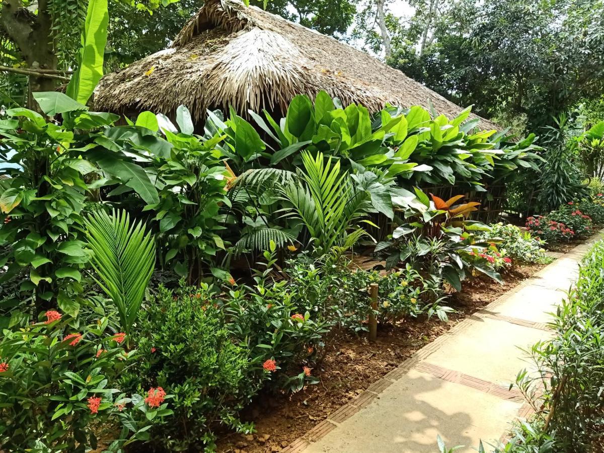 Puluong Lodge *