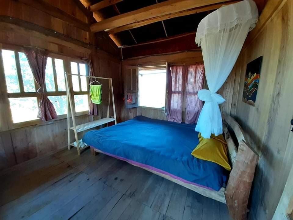 Homie Lodge *
