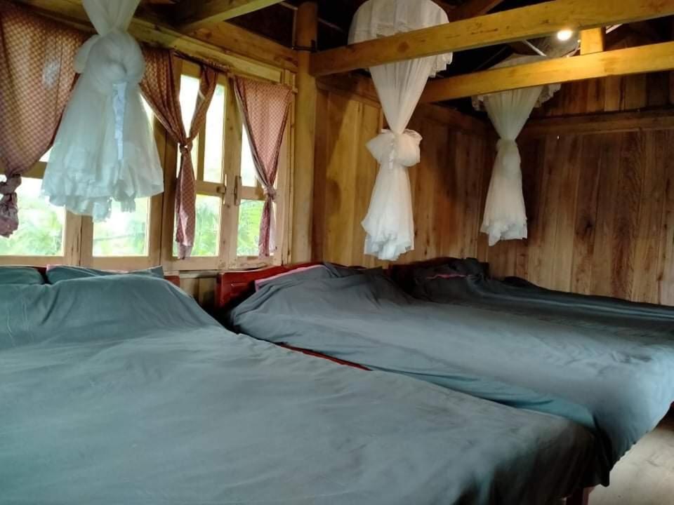 Homie Lodge Lang Xao Vang