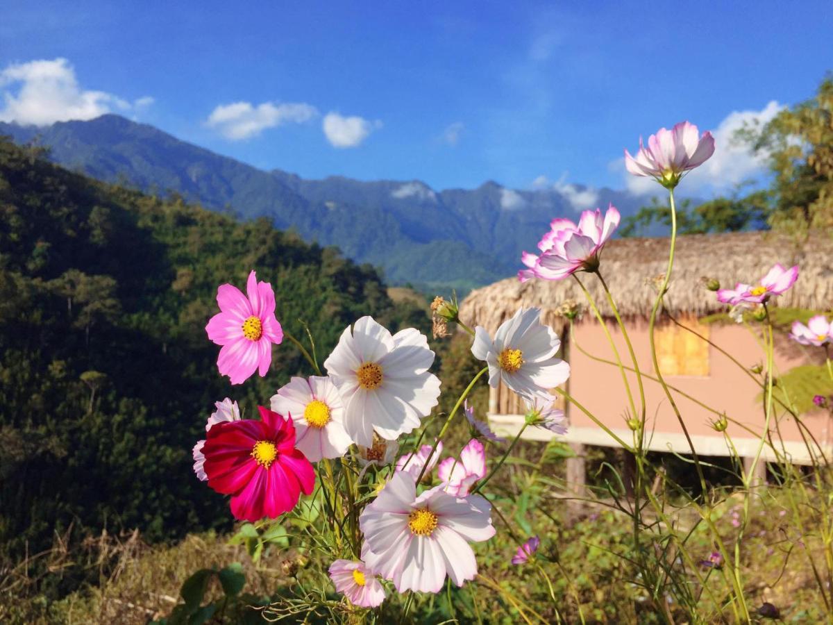Chapa - Mountain Retreat Hotel