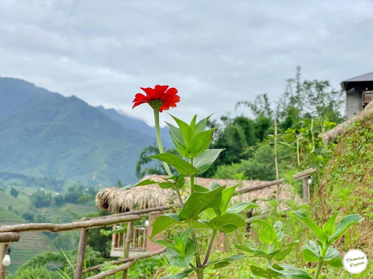 Chapa - Mountain Retreat Sapa