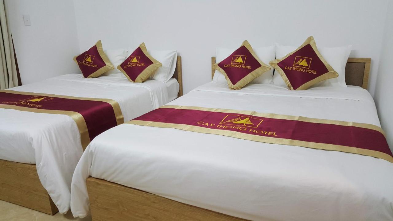 Khach San Cay Thong Hotel Tam Dao