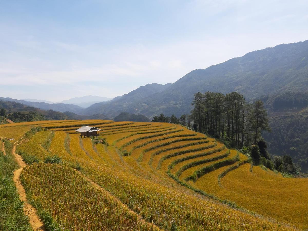 Backpacker Lodge Mu Cang Chai