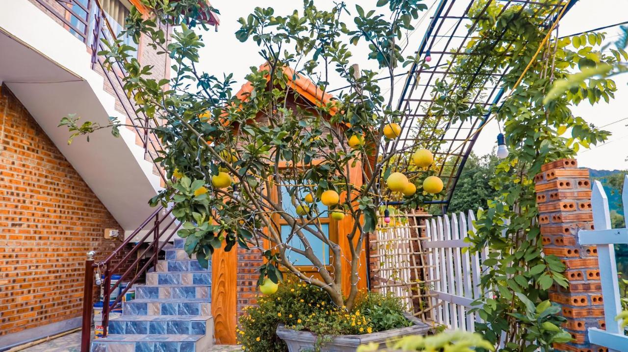 Cosiana Bed & Breakfast Ninh Binh