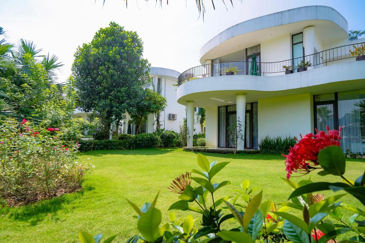 Ivory And Hoa Binh