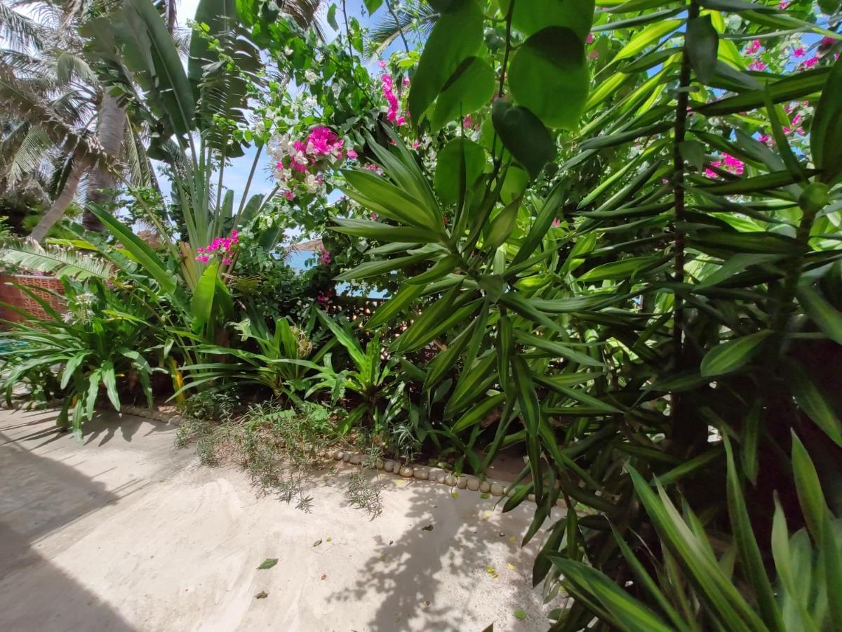 Haven Vietnam Hostel Quy Nhon