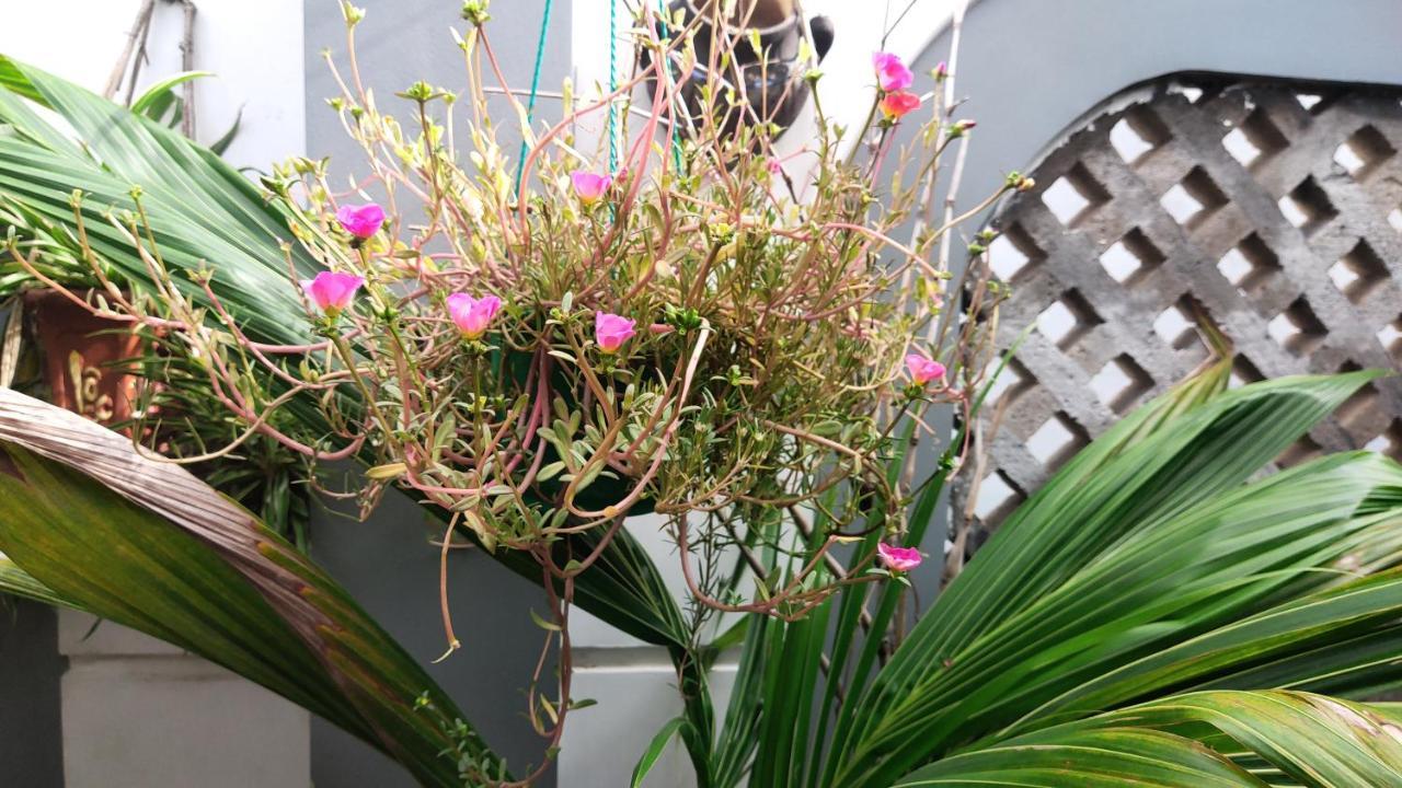 Nha Muoi Aparthotel