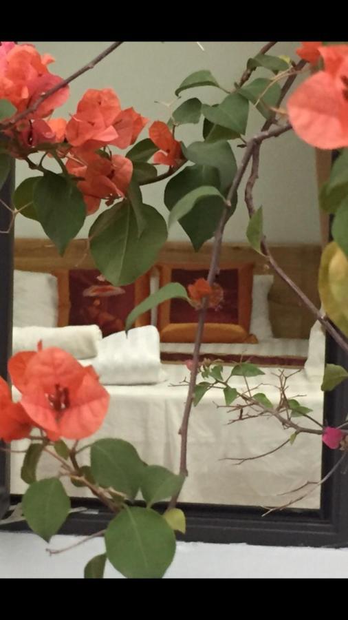 Tam Coc Scenery Hotel 3*