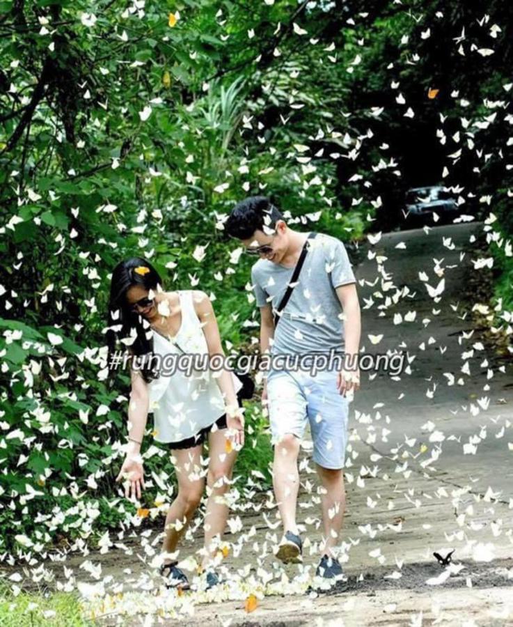 Trang An Freedom Hood * Ninh Binh