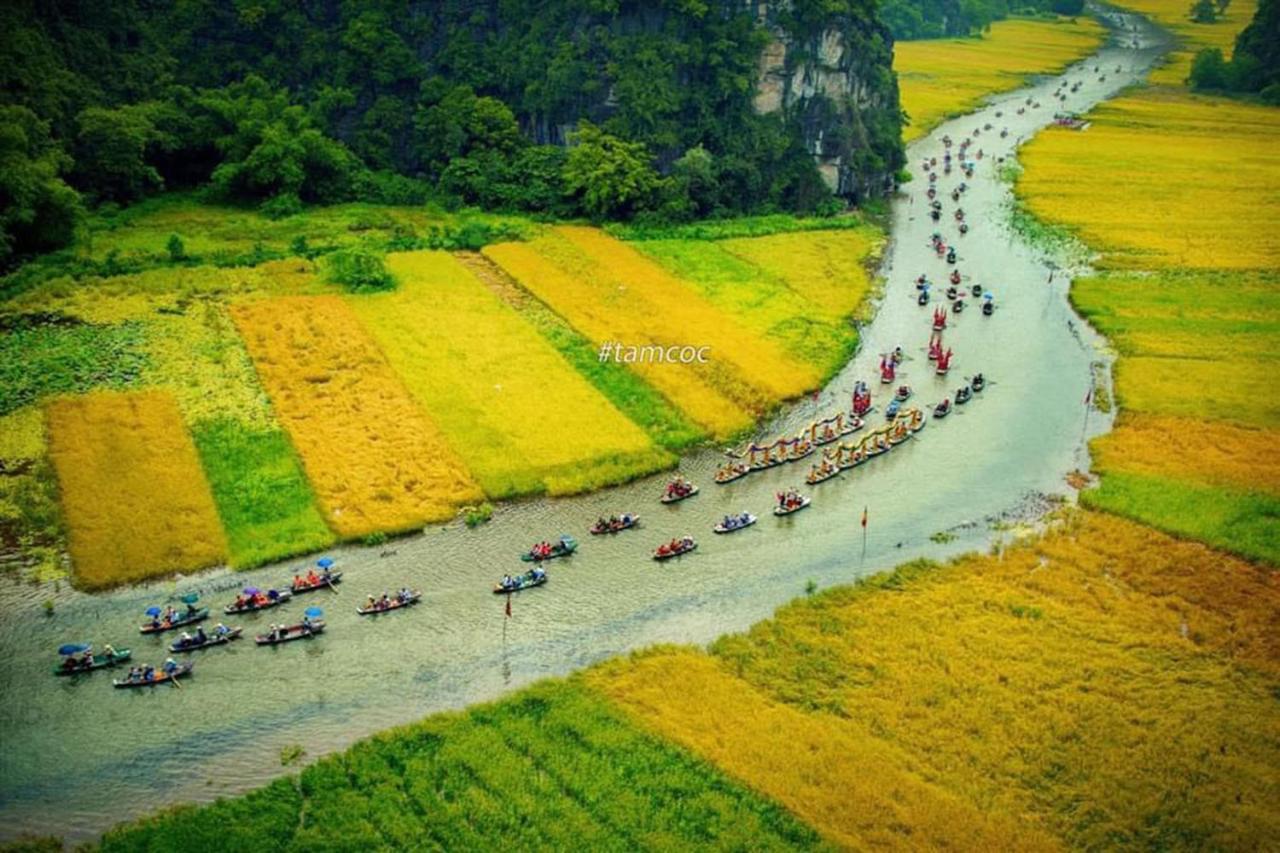 Trang An Freedom Hood *