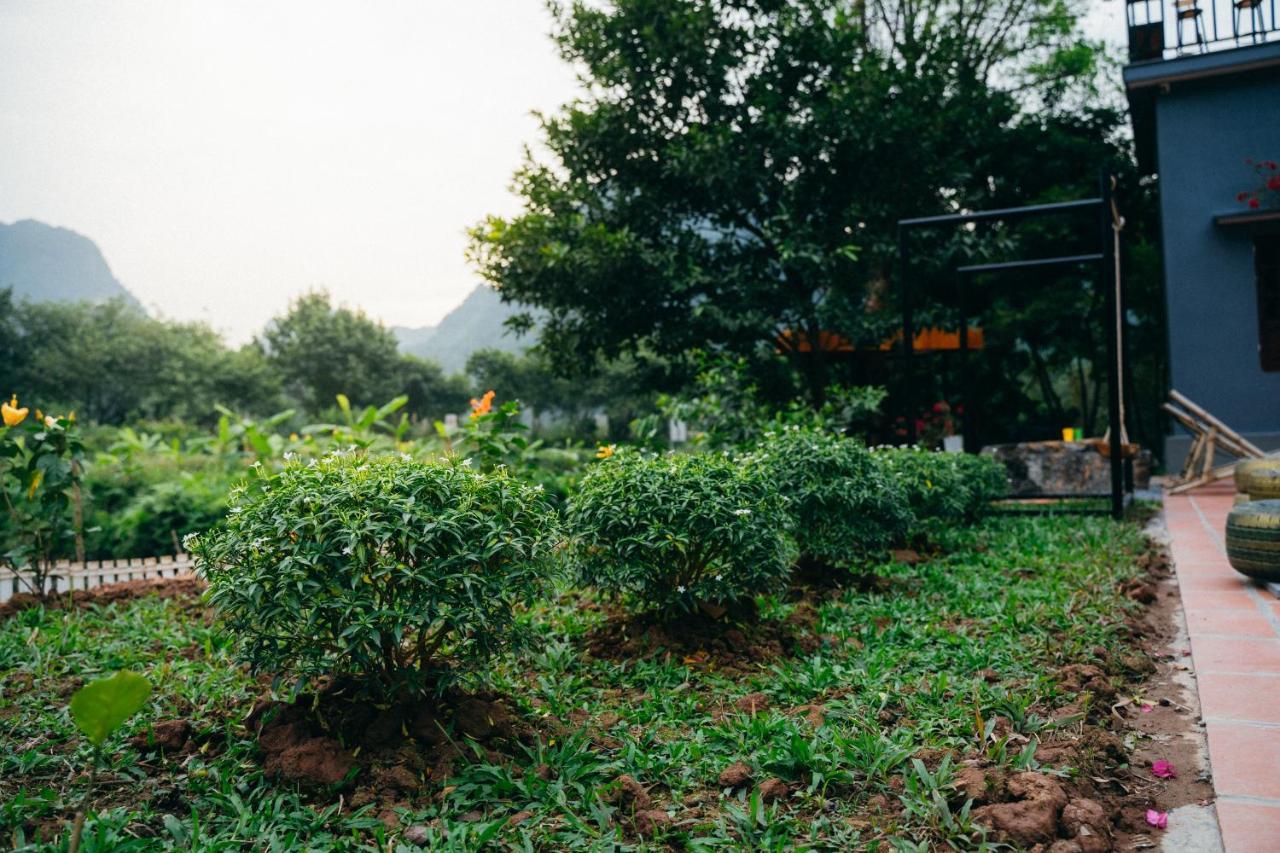 Trang An Freedom Hood Hostel Ninh Binh