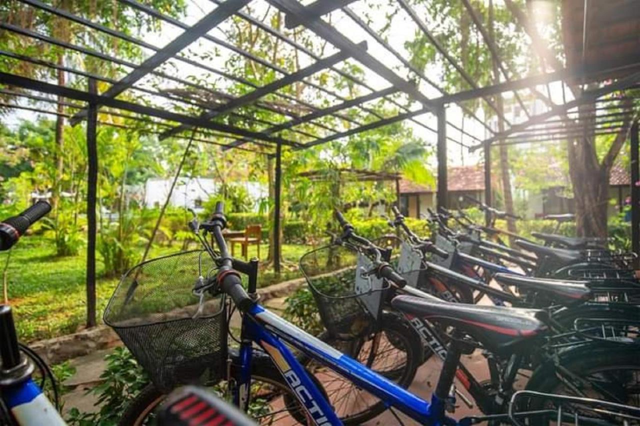 An Nhien Retreat With Yoga Daily & Access 3* Phu Quoc