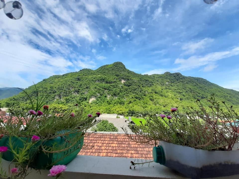 Hakuna Matata * Mai Chau