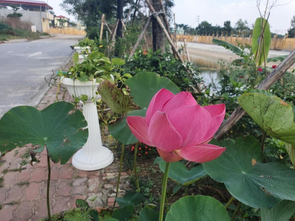 Sun & * Bac Ninh