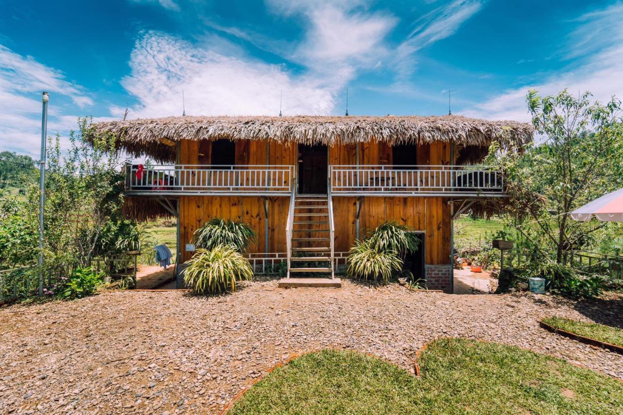Hello & Tours Lodge *