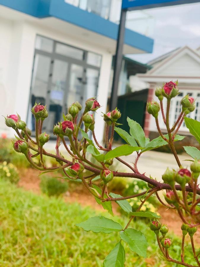 Hotel November Da Lat