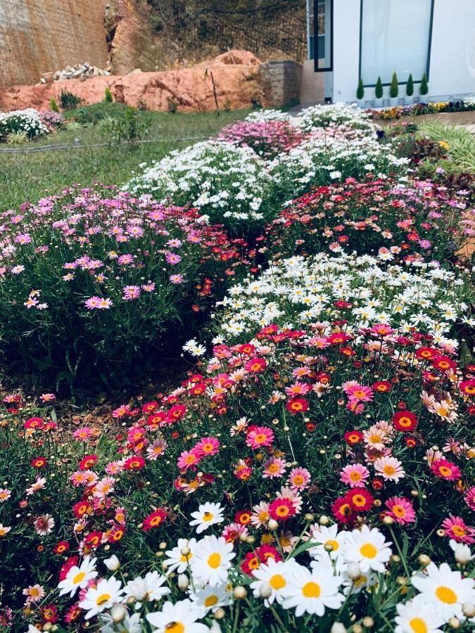 Hotel November Da Lat