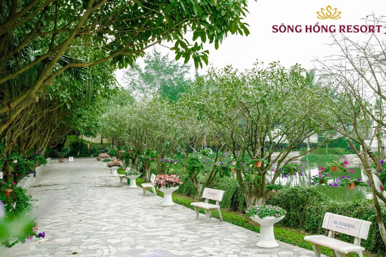 Song Hong
