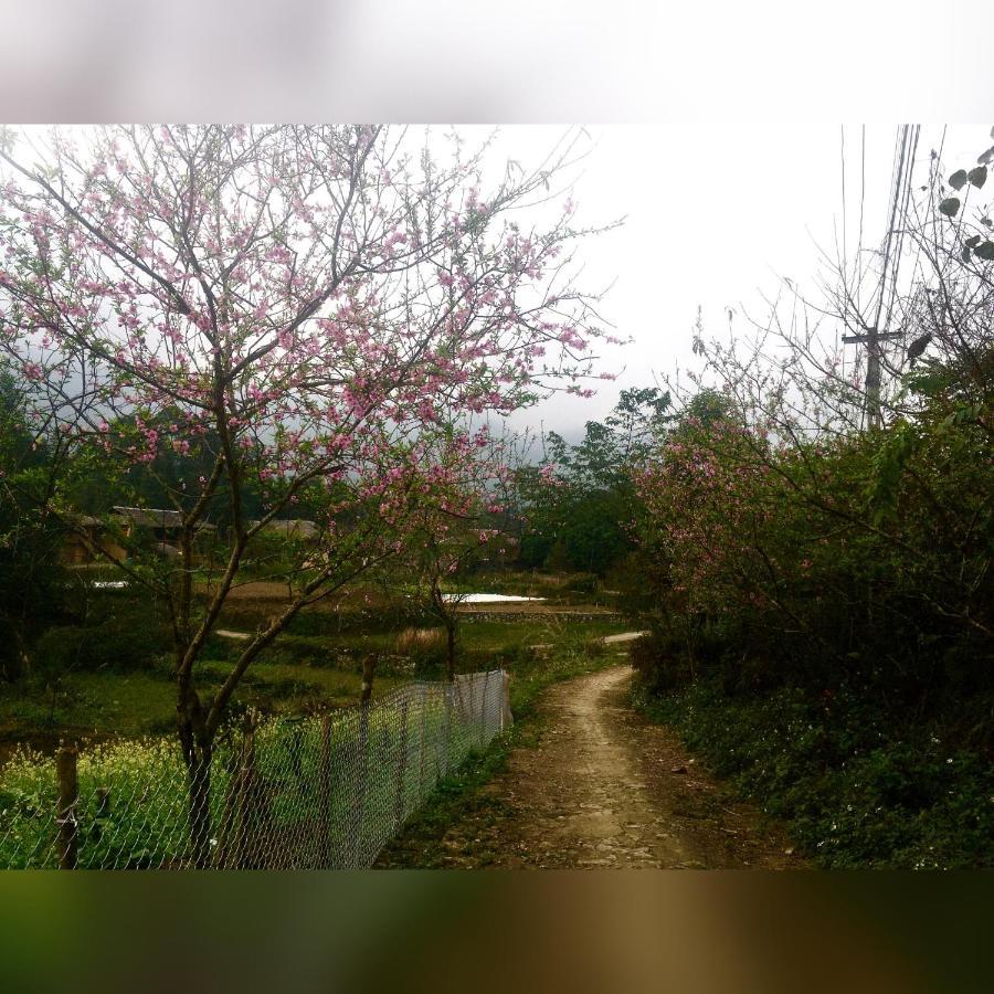 Homestay Don Dao Ha Giang