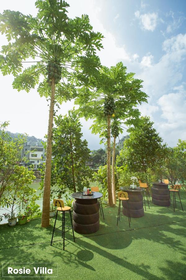 Guest house Rosie - Motobikerental & Tour Ha Giang