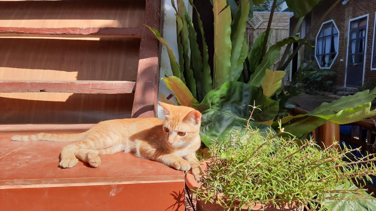 Hakuna Matata * Mai Chau
