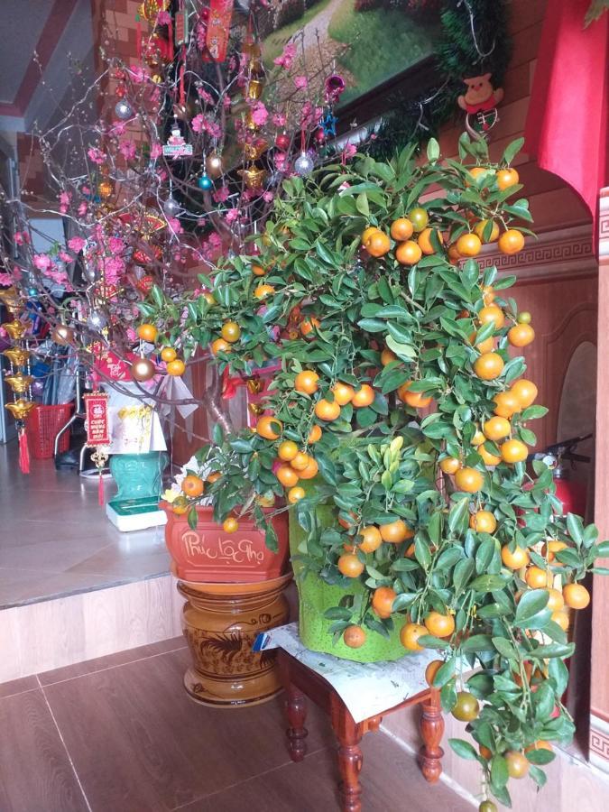 Non La Guest house Da Lat