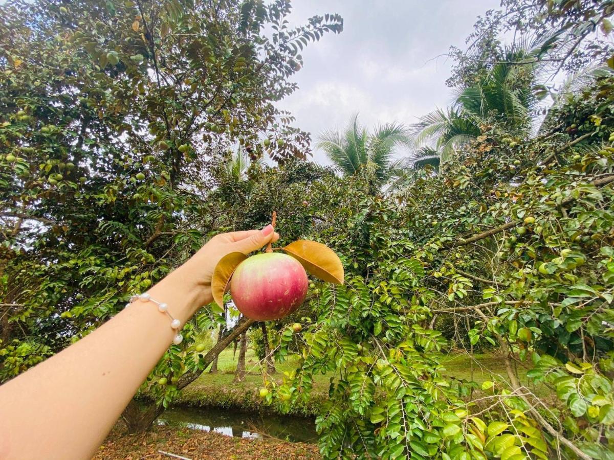 Khu nghỉ mát Forever Green