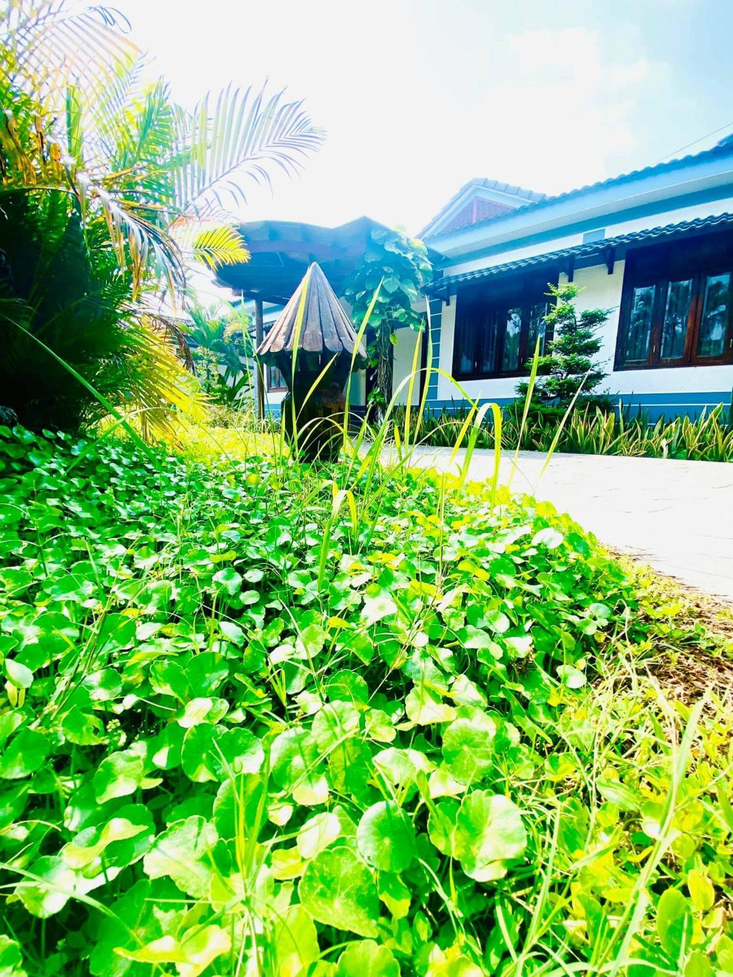 Forever Green 4* Bến Tre