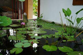 Hotel Seasing Boutique Nha Trang