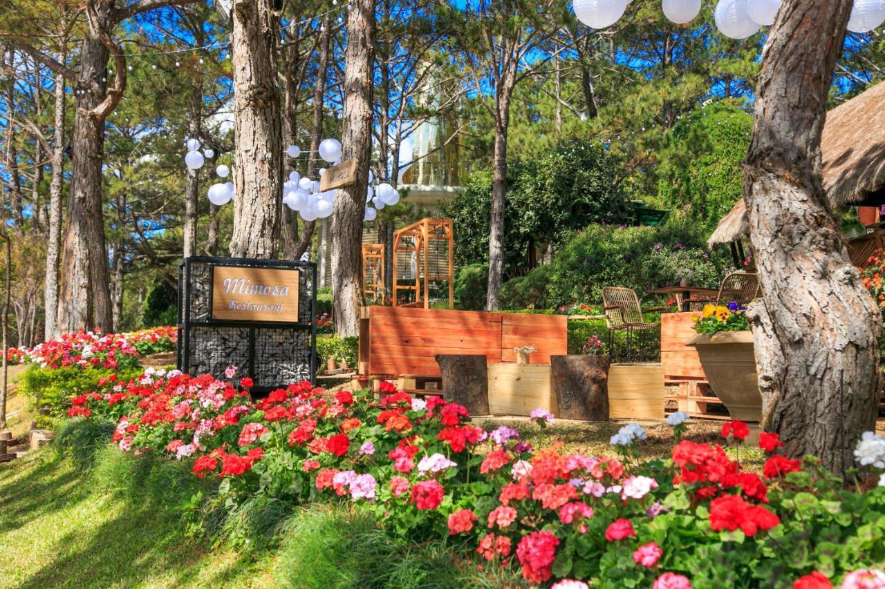 Ttc Dreamy Hill - Unlimited Access To Ttc World - Thung Lung Tinh Yeu