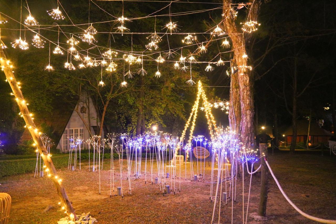 Ttc Dreamy Hill - Unlimited Access To Ttc World - Thung Lung Tinh Yeu * Da Lat