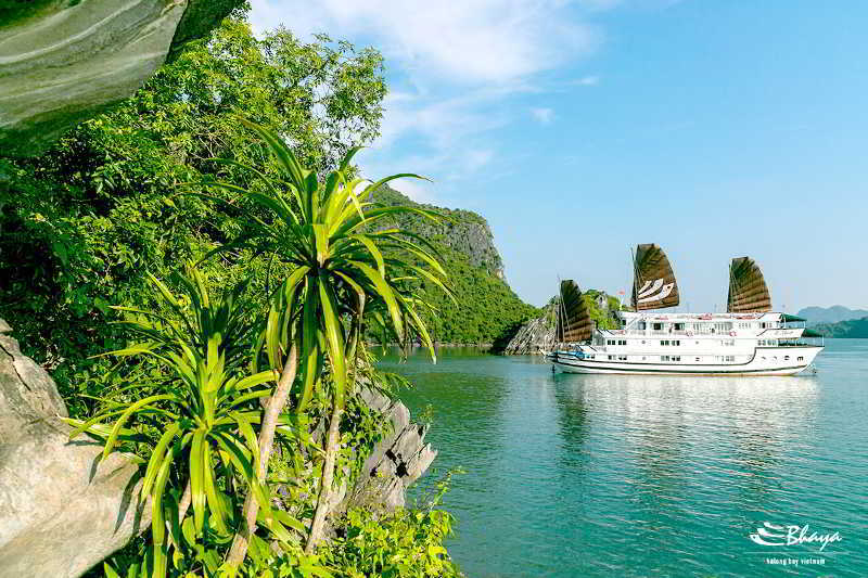 Bhaya Classic Cruises Hotel 4*