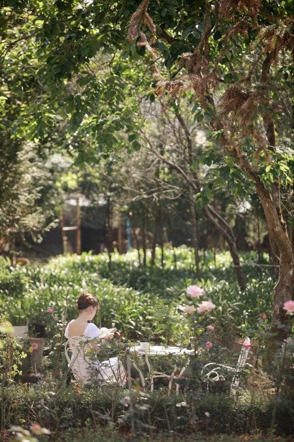 Terrasse Des Roses