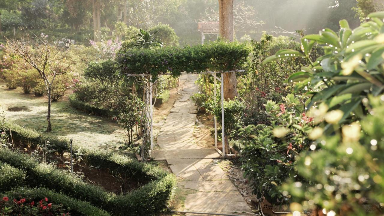 Terrasse Des Roses Da Lat