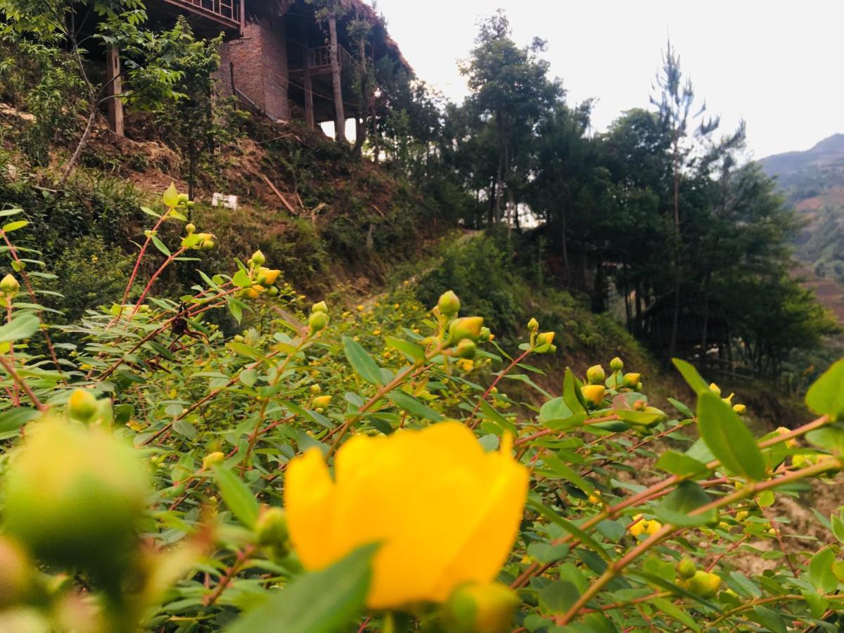 Lodge Hello & Tours *