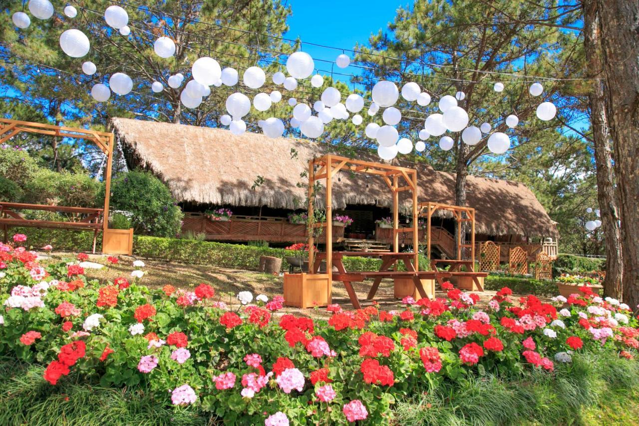 Ttc Dreamy Hill - Unlimited Access To Ttc World - Thung Lung Tinh Yeu Da Lat