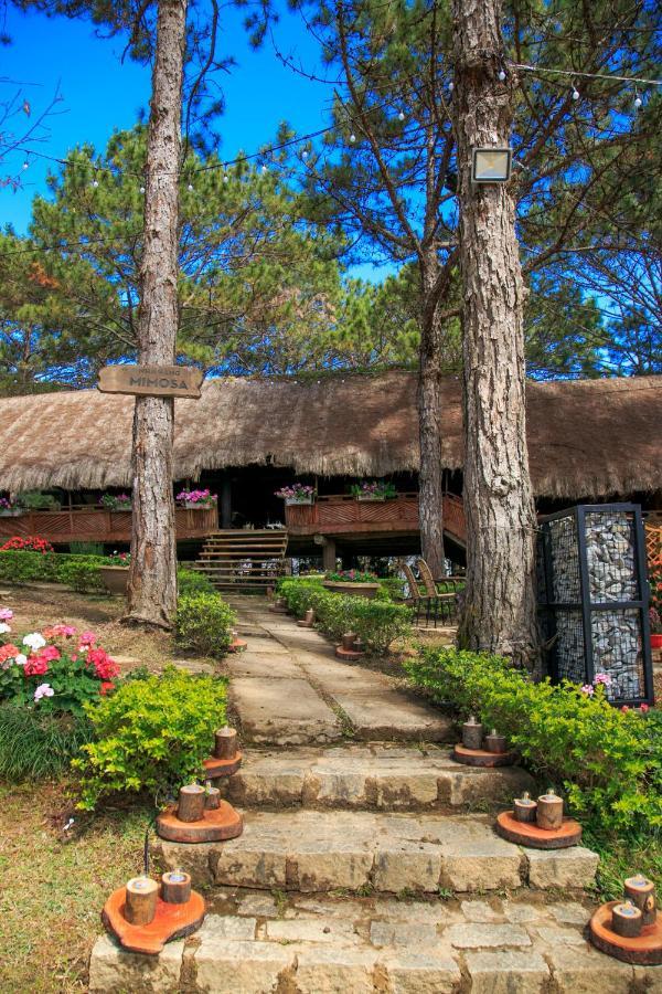 Ttc Dreamy Hill - Unlimited Access To Ttc World - Thung Lung Tinh Yeu Da Lat
