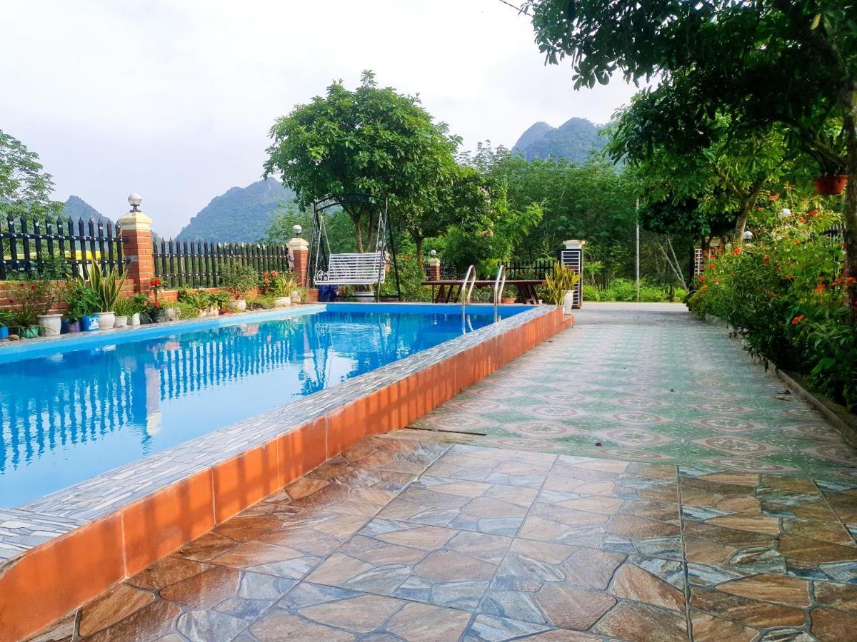 Amanda Phong Nha