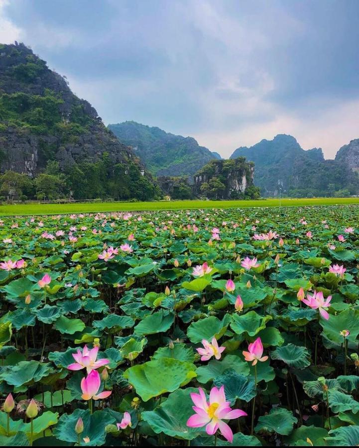 Yen Nhi Hotel Ninh Binh