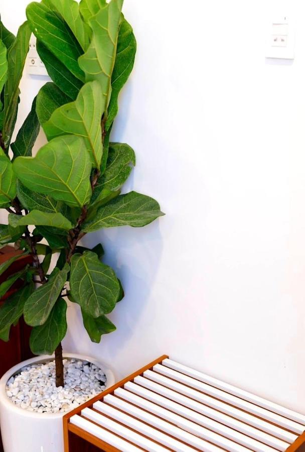 Khách sạn Mira Eco Quy Nhơn