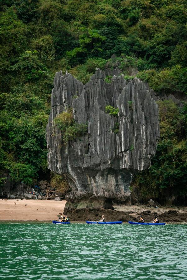 Sena Cruises - Wonder On Lan Ha Bay 