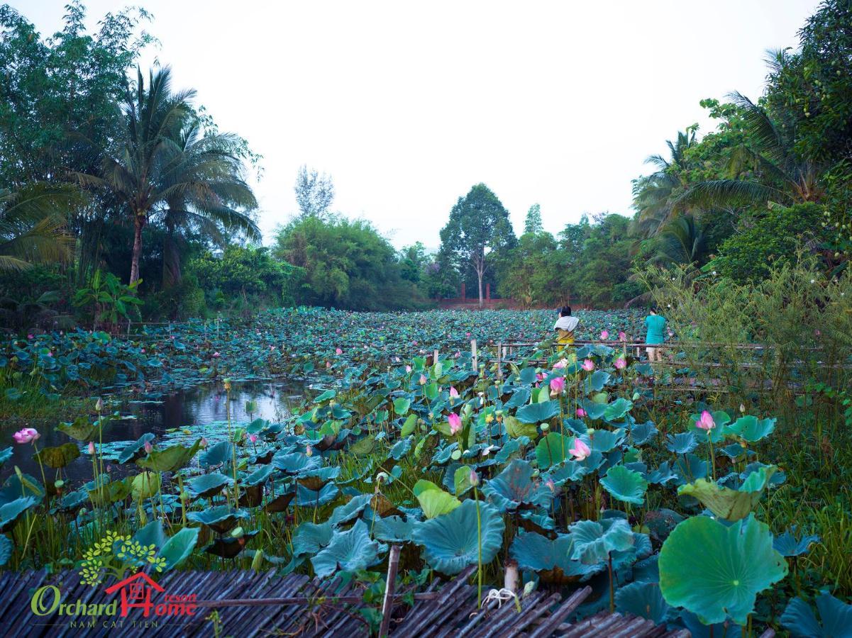 Orchard Nam