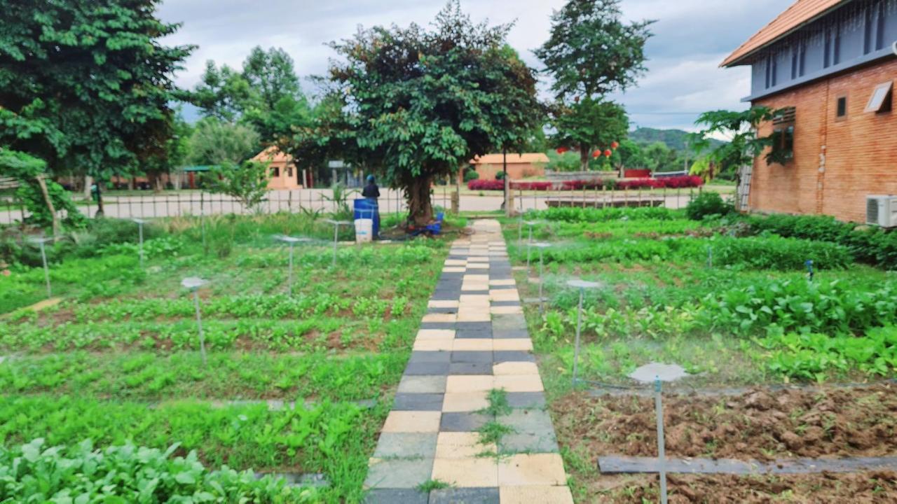 Orchard Nam Country house